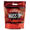 Mass Up (3,5кг)