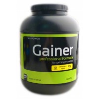 Gainer Professional Formula (4кг)