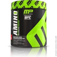 AMINO1 (15servs)