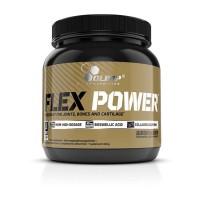 Flex Power (504г)