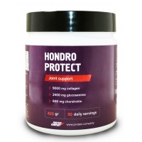 Hondro protect (420гр)