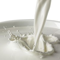 Молочный протеин