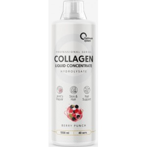 Collagen Concentrate Liquid (500мл)