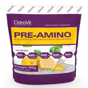 Pre-Amino (400г)