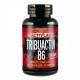 Tribuactiv B6 (90капс)