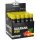 GUARANA 2000 (20x25ml)