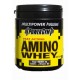 Amino Whey (300таб)