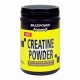 Creatine Powder (500г)