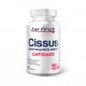 Cissus Quadrangularis Extract (90капс)