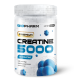 Creatine 5000 (500г)