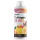 Collagen concentrate (1000мл) 