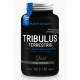 DARK Tribulus Terrestris (60таб)
