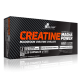 CREATINE MAGNA POWER (120капс)