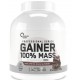 100% MASS GAINER (3кг)