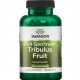 Full-Spectrum Tribulus Fruit (90капс)